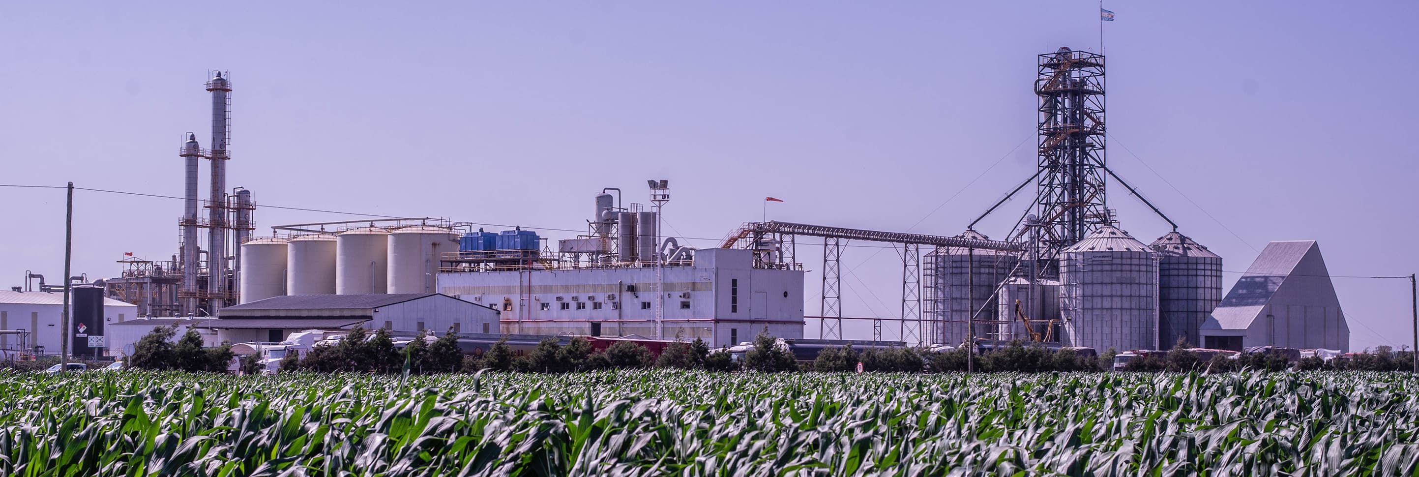 Imagen quienes somos