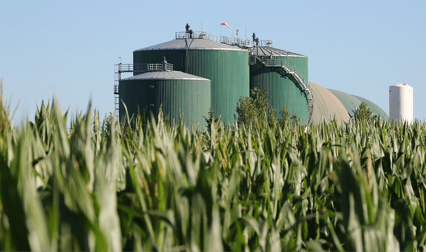 Puesta en marcha de la primera planta de Bioeléctrica