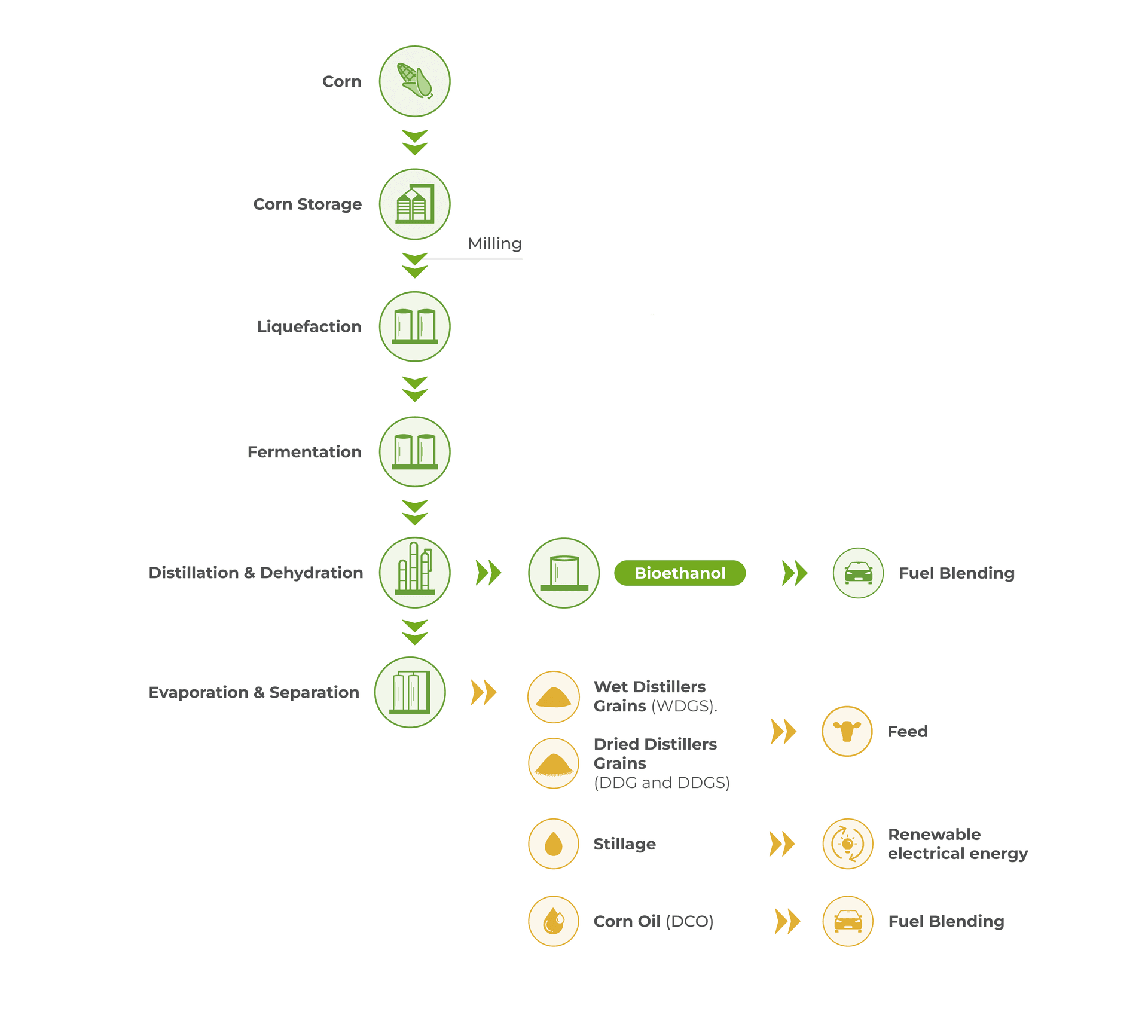 Our ,[object Object]