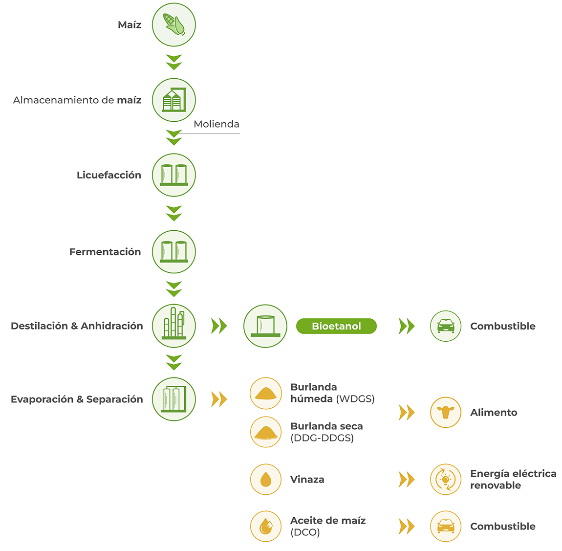 Nuestro ,[object Object]