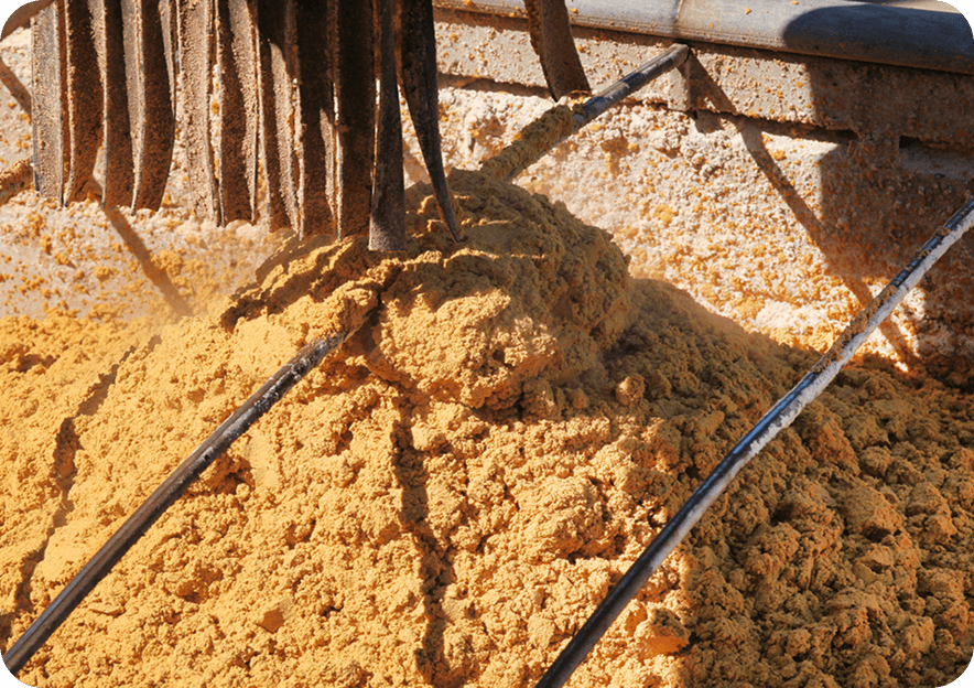 Productos y Coproductos